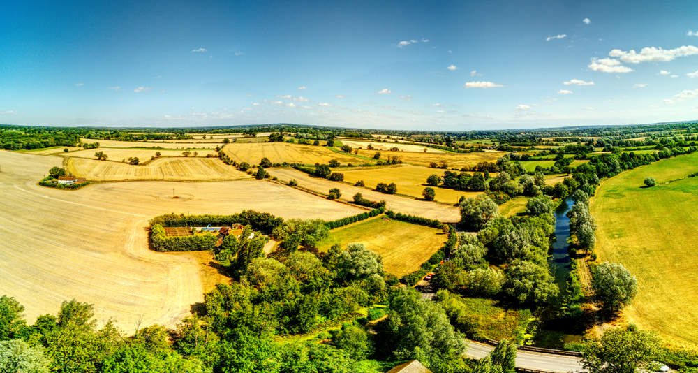 Green Careers Week – Find a career with ECC